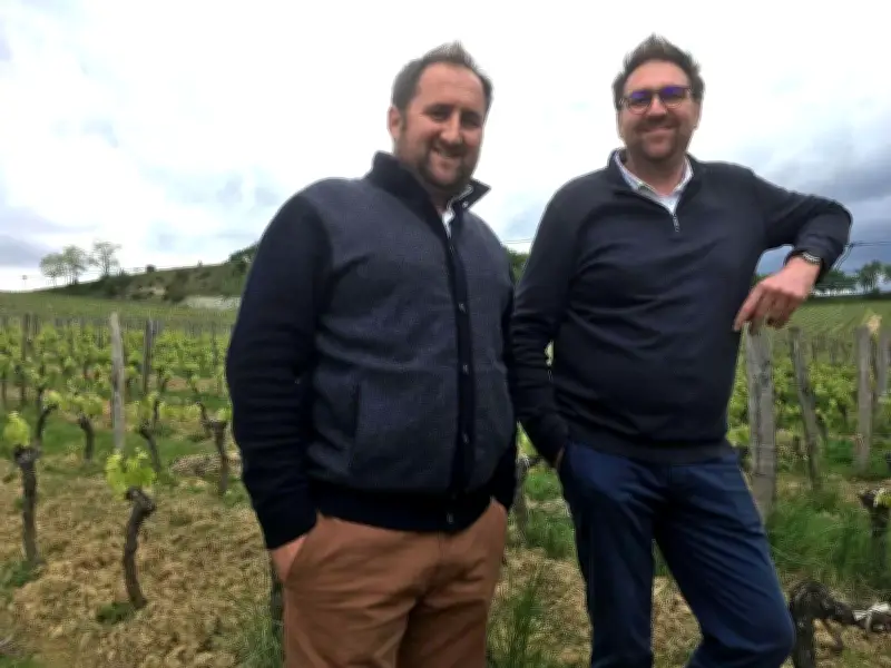 Saint-Émilion lance une pépinière collaborative pour renforcer la biodiversité viticole