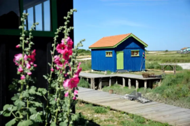 Saint-Pierre-d'Oléron planifie la rénovation du fort Royer pour préserver son patrimoine