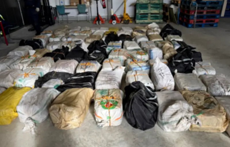 Saisies de cocaïne en hausse : les chiffres records des autorités françaises