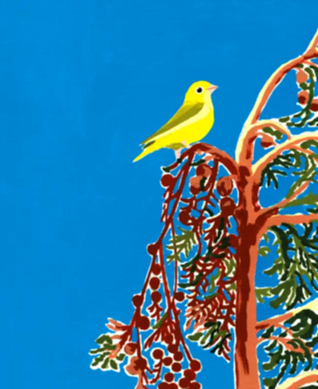 Saisons : le magazine qui réinvente l'écologie positive et sensorielle