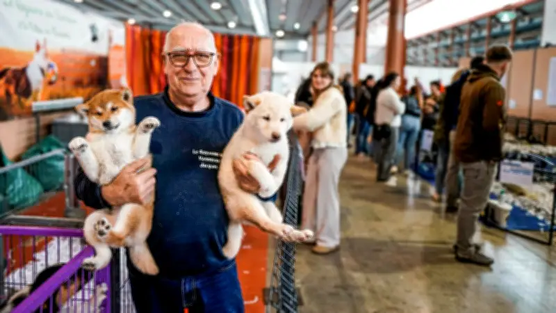 Salon des animaux de compagnie à Nîmes : chats et chiens stars, bien-être animal en vedette
