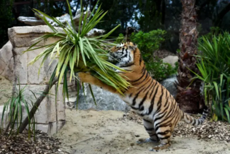 Sept escapades incontournables dans le Sud-Ouest au printemps 2026