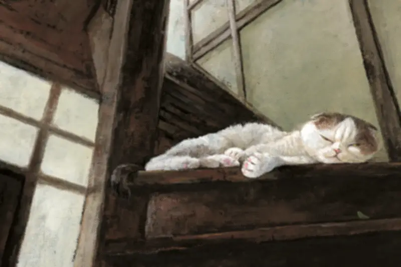 Six histoires de chats intemporelles à lire aux enfants