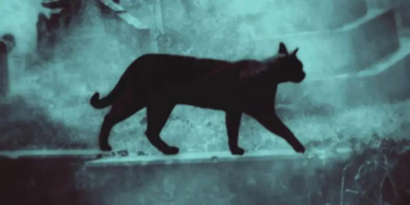 Sélection Littéraire : Déclaration de la Personne, Insomnies et Évasion du Convoi 53