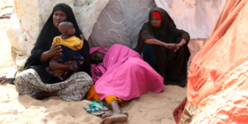 Somalie : le CICR alerte sur une aggravation imminente de la crise humanitaire