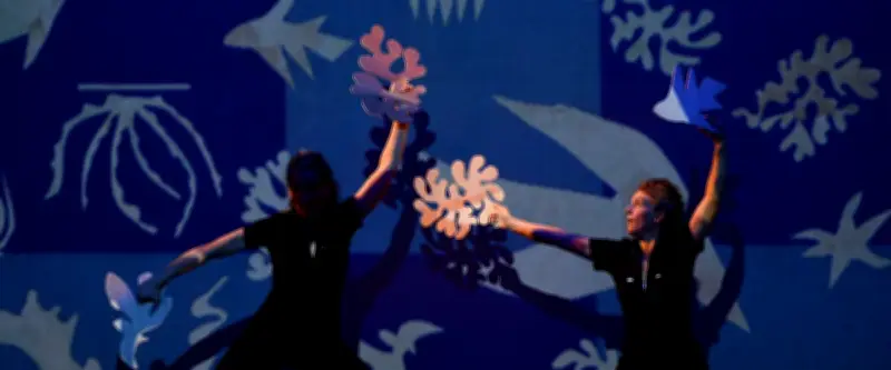 Sorties à Montpellier ce mercredi : Danse, conférence sur les zoonoses et concerts