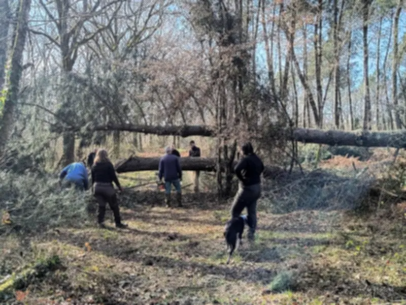 Sos : le maire Didier Soubiron salue la mobilisation après les tempêtes