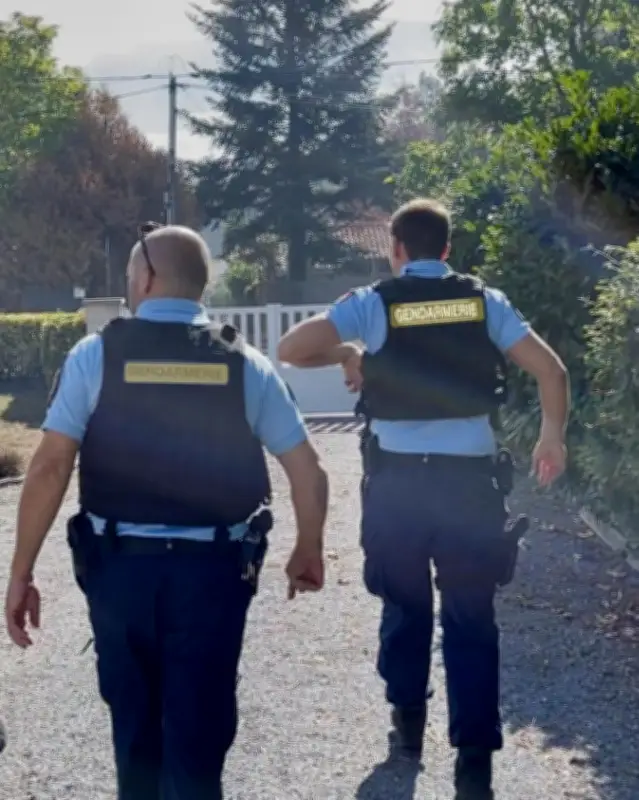 Soulac : un artisan tire en l'air, neuf armes saisies dont une seule déclarée