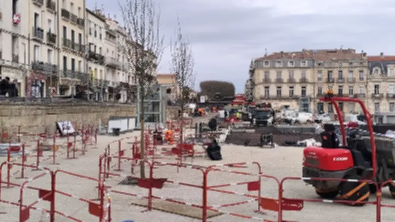 Sète : 107 arbres plantés sur l'esplanade Aristide-Briand pour un nouvel espace vert
