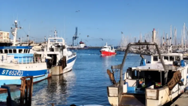 À Sète, les pêcheurs veulent rester au large la nuit pour économiser le gazole