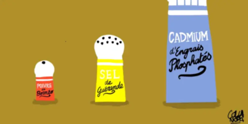 Surexposition au cadmium : les autorités sanitaires pressent le gouvernement d'agir