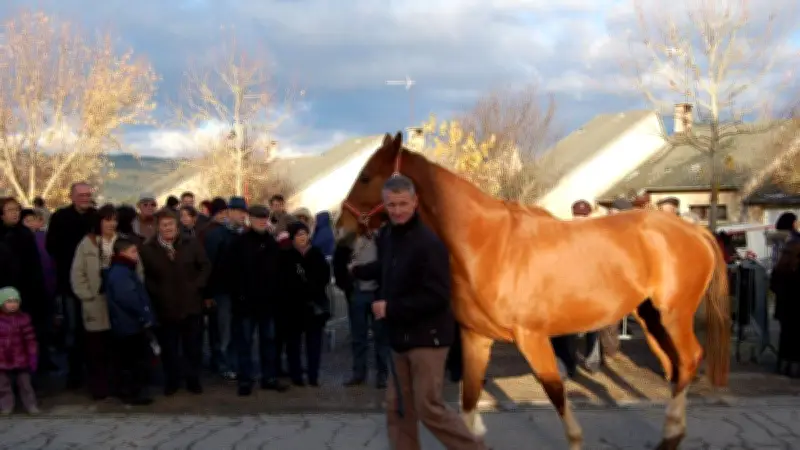 Sévérac-le-Château : une soirée souvenir pour revivre les fêtes de la Sainte-Catherine
