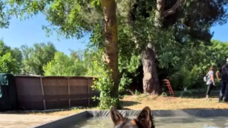 Tempête : appel aux bénévoles pour restaurer la pisciculture du Pont de Caylus