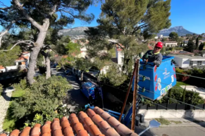Tempête dans le Var : 1.500 foyers toujours privés d'électricité ce vendredi matin