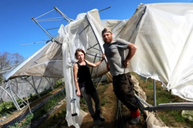 Tempête Nils : la solidarité se mobilise pour la Ferme du Petit Bidouze à Labastide-d’Armagnac