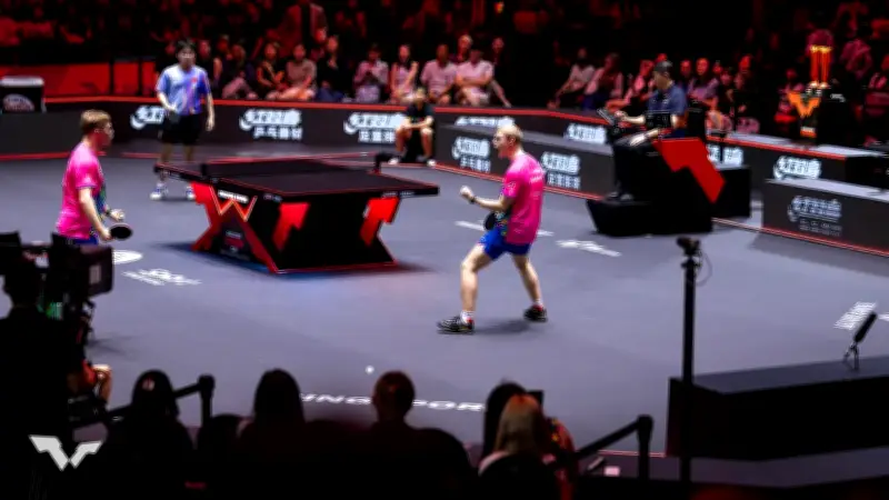 Tennis de table : décryptage du calendrier WTT et des gains des frères Lebrun