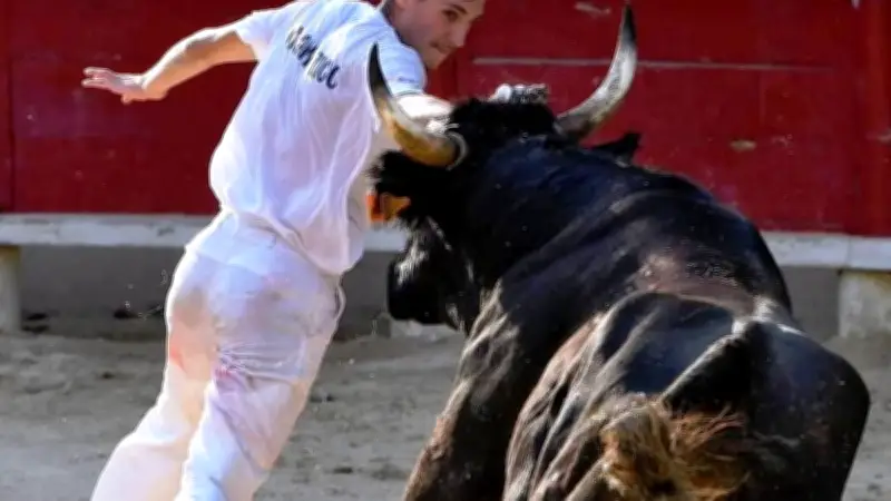 Téo Grammatico, jeune raseteur de Vauvert, s'élance dans le Trophée de l'Avenir