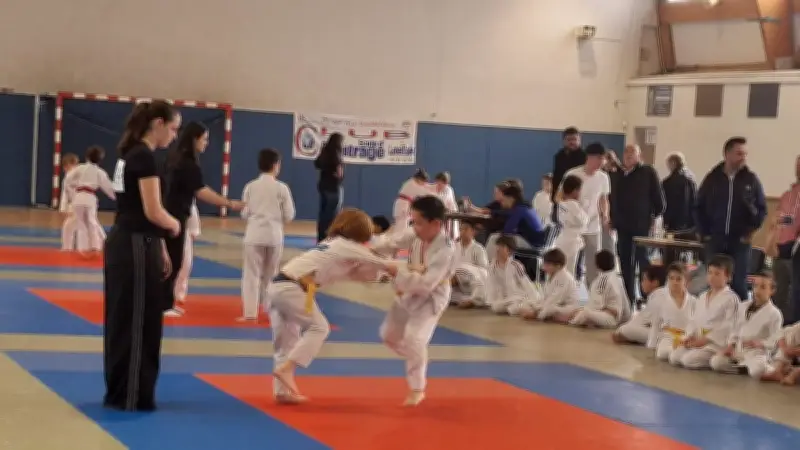 Tournoi de judo à Vergèze : 600 combattants sur les tatamis