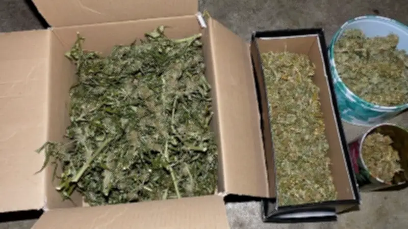 Trafic de drogue démantelé à Béziers : six interpellations et trois incarcérations après l'arrêt d'un go fast