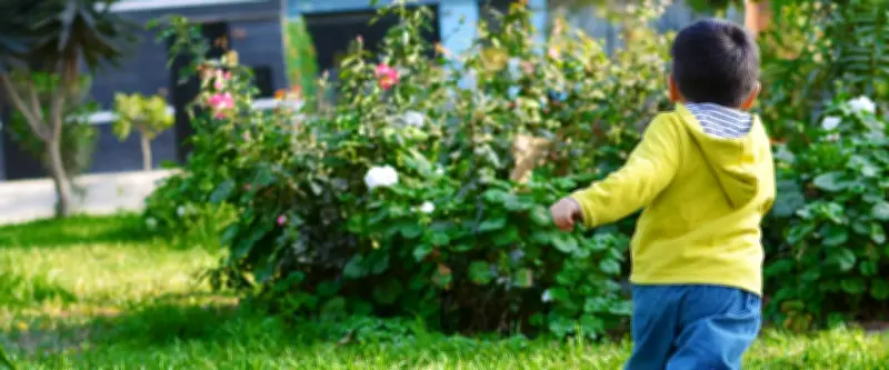 Tragédie à Mazières-de-Touraine : un enfant de 2 ans retrouvé mort dans une bassine d'eau