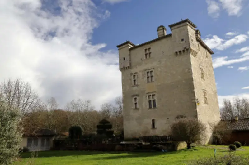 Trois domaines bio pionniers en Gascogne : un road trip viticole engagé