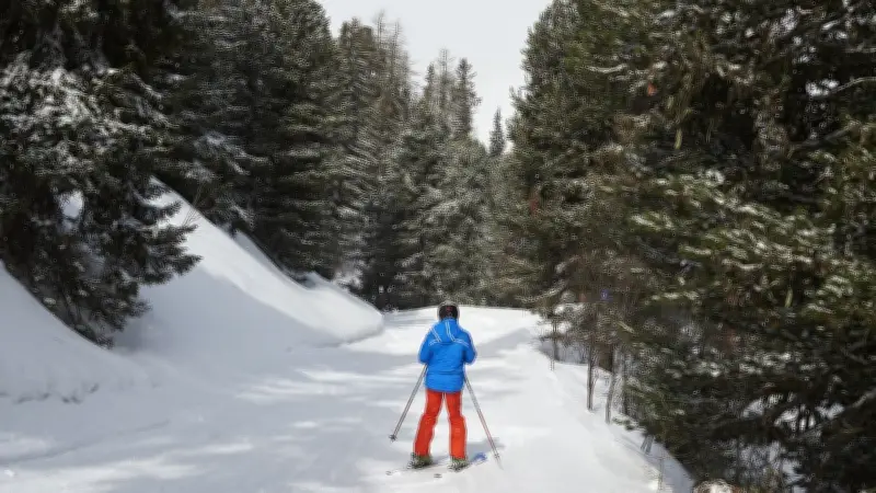 Un adolescent de Béziers meurt violemment en percutant un arbre sur une piste de ski des Pyrénées