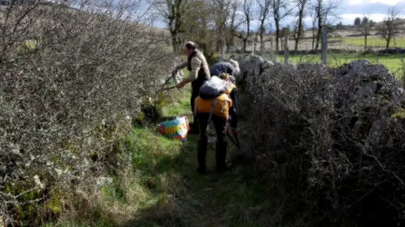 Un ancien chemin du causse de Sauveterre renaît grâce à des bénévoles lozériens