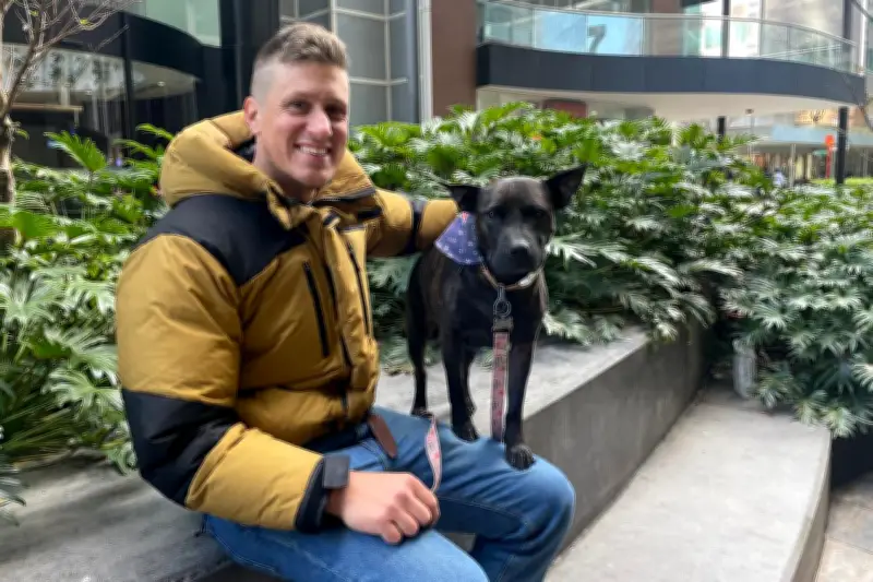 Un Australien utilise l'IA pour créer un traitement contre le cancer de sa chienne