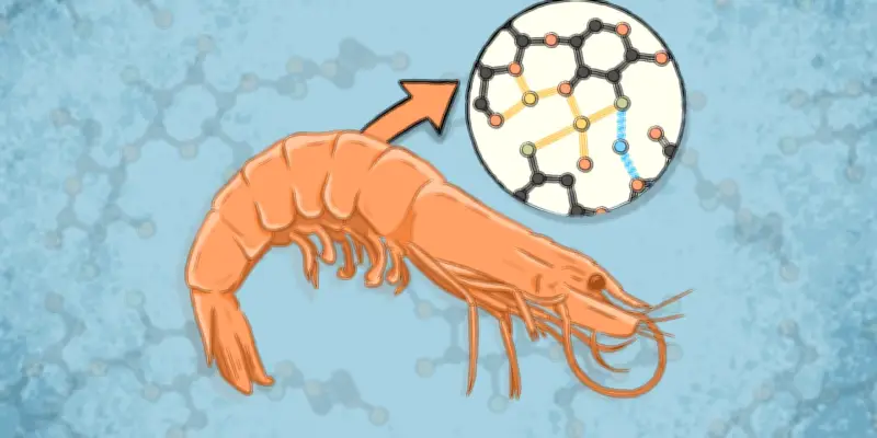 Un bioplastique révolutionnaire résistant à l'eau créé à partir de déchets naturels