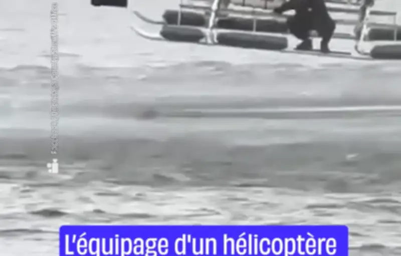 Un chien sauvé de la noyade par un hélicoptère dans l'État de New York