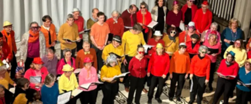 Un concert caritatif à Montpellier pour héberger des femmes isolées en urgence