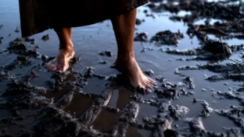 Un homme retrouvé bloqué dans la boue en Floride après une disparition inquiétante