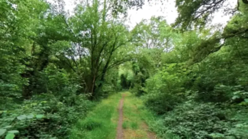 Un jeune homme enlevé et tabassé en forêt accuse sa logeuse d'avoir commandité l'agression