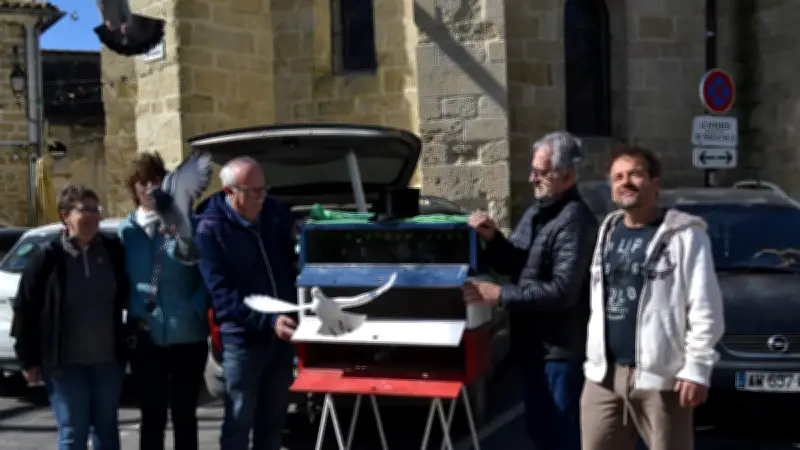 Un lâcher de pigeons voyageurs pour célébrer la Saint-Patrick au Cailar