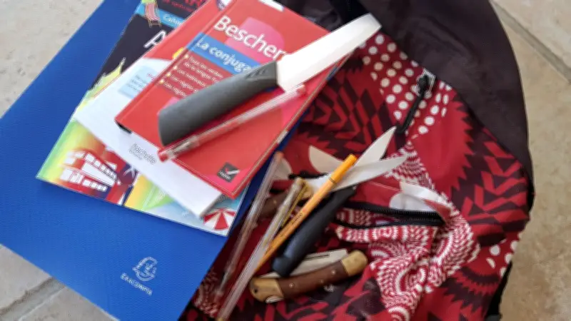 Un élève de sept ans interpellé avec un couteau à steak dans une école de Mulhouse