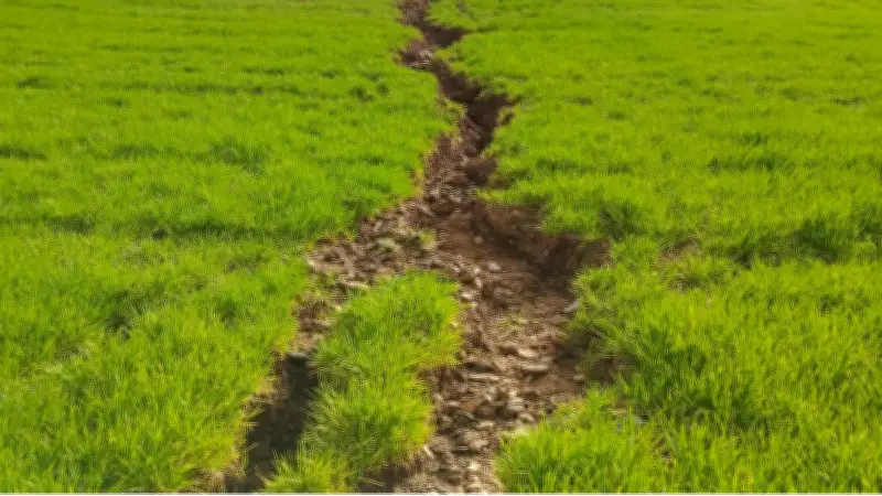 Un millier d'arbres plantés à la ferme du Joncas pour lutter contre l'érosion en Aveyron