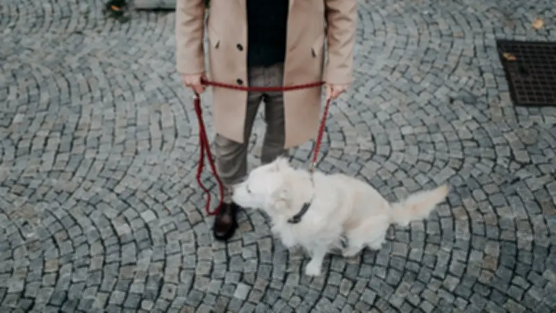 Un non catégorique pour un chien-guide : un malvoyant exclu d'un FlixBus