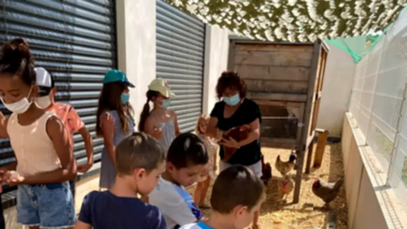 Un poulailler pédagogique réduit les déchets alimentaires dans une école de Sauvian