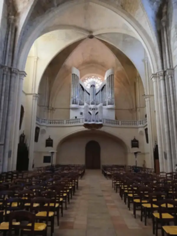 Un récital d'orgue solidaire à La Réole pour soutenir le club de rugby sinistré