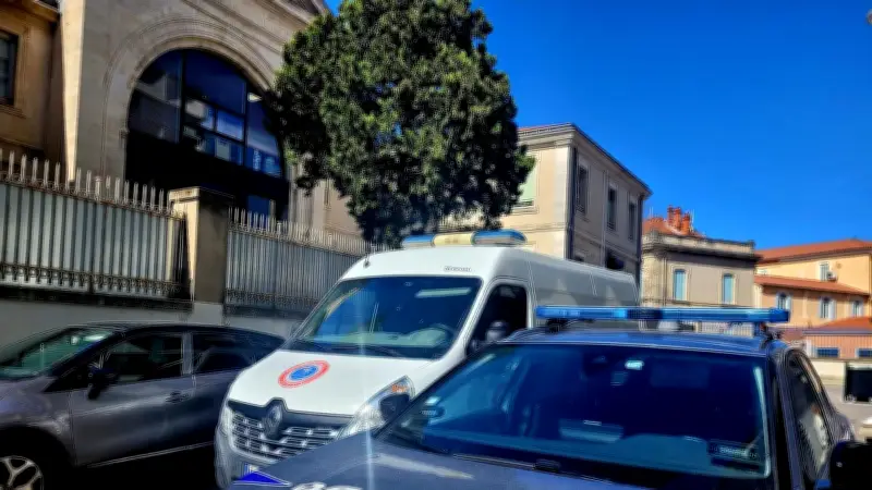 Un refus d'obtempérer justifié par le stress de sa copine : le surréalisme devant la justice