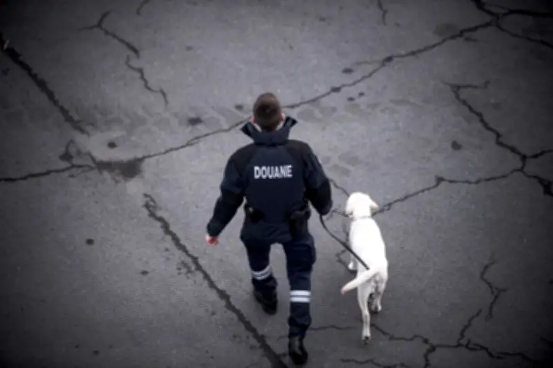 Un routier polonais condamné après la saisie de 38 kg de cannabis dans un camping-car au péage du Capitou