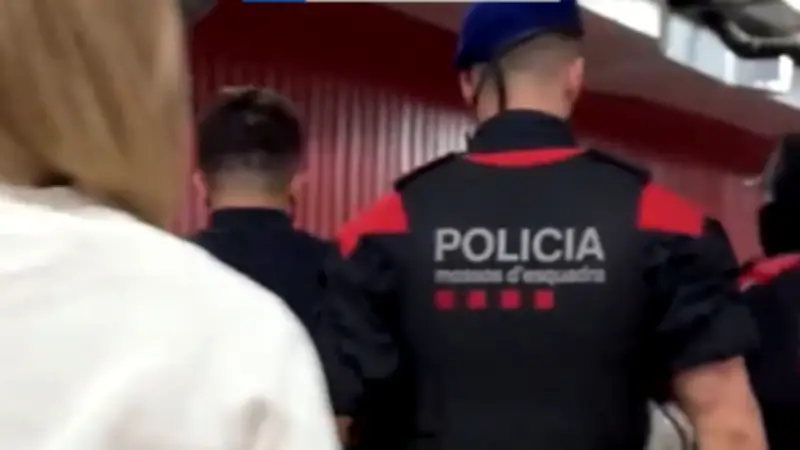 Un réseau lié à la Camorra démantelé en Espagne : 800 kg de drogue cachés dans des poulets