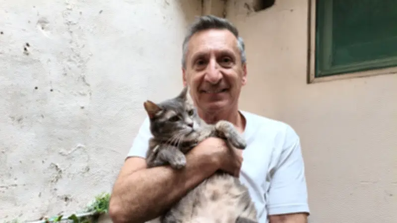 Un Sétois découvre que son chat adopté est entré illégalement en France