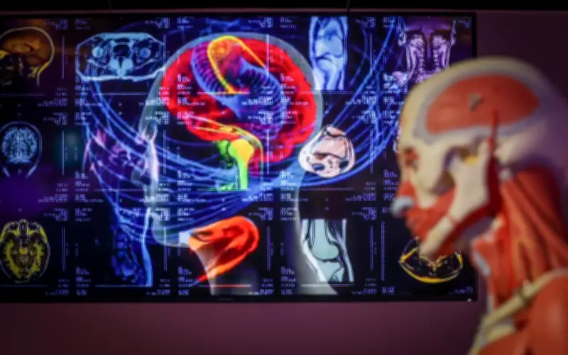 Un TOC sévère guéri par une balle : la révélation neurologique qui change tout