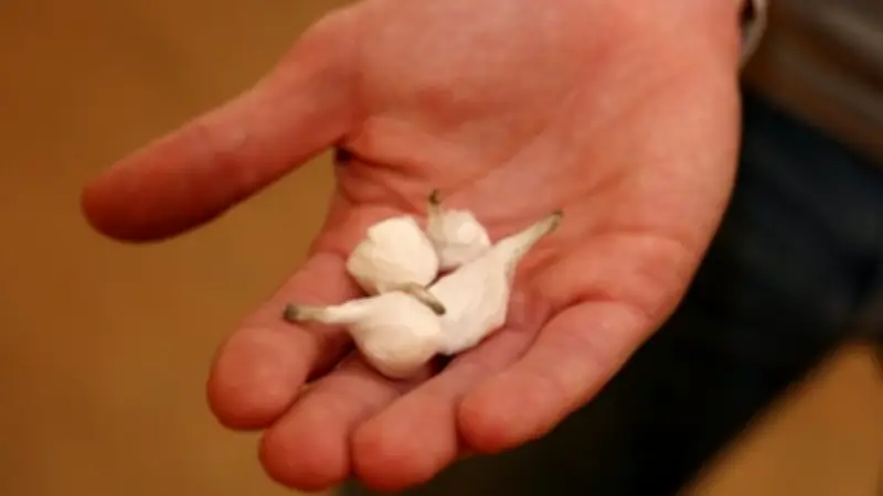 Un trafic de drogue entre l'Hérault et la Lozère démantelé par la police