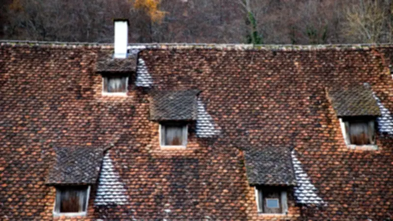 Un trésor de Rembrandt découvert par hasard dans un grenier à Amsterdam