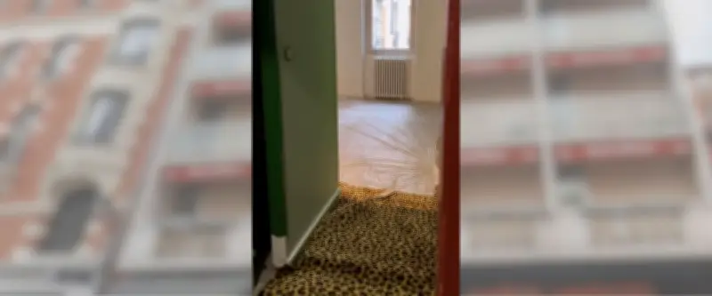 Un 'vide-moquettes' léopard insolite organisé par un hôtel toulousain en avril