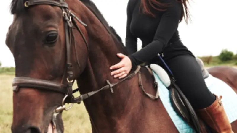Une cavalière perd une main après avoir été traînée par son cheval dans l'Ain
