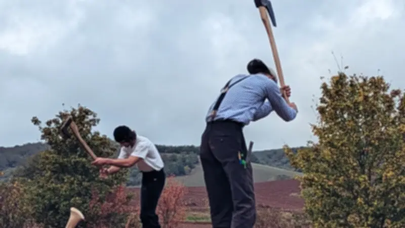 Une charpente à la hache, œuvre des Compagnons du Devoir, illumine Montlaur