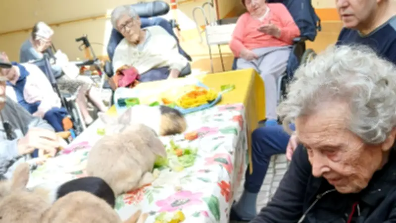 Une ferme pédagogique visite un Ehpad du Gard, apportant joie aux résidents